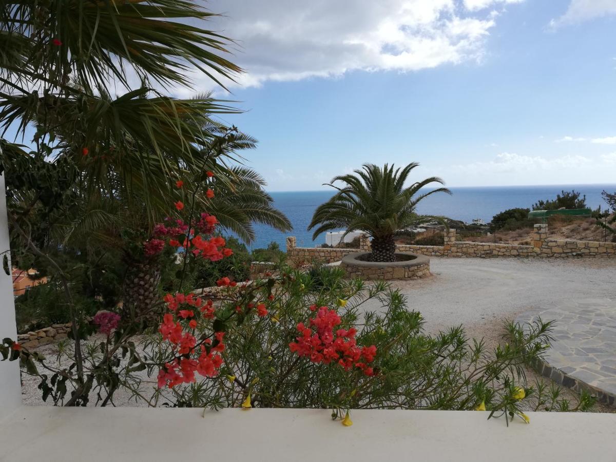 Tranquil Villa With Sea View In Ammopi Karpathos 阿莫皮 外观 照片