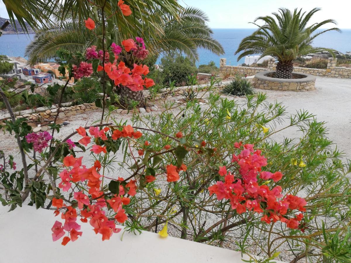 Tranquil Villa With Sea View In Ammopi Karpathos 阿莫皮 外观 照片
