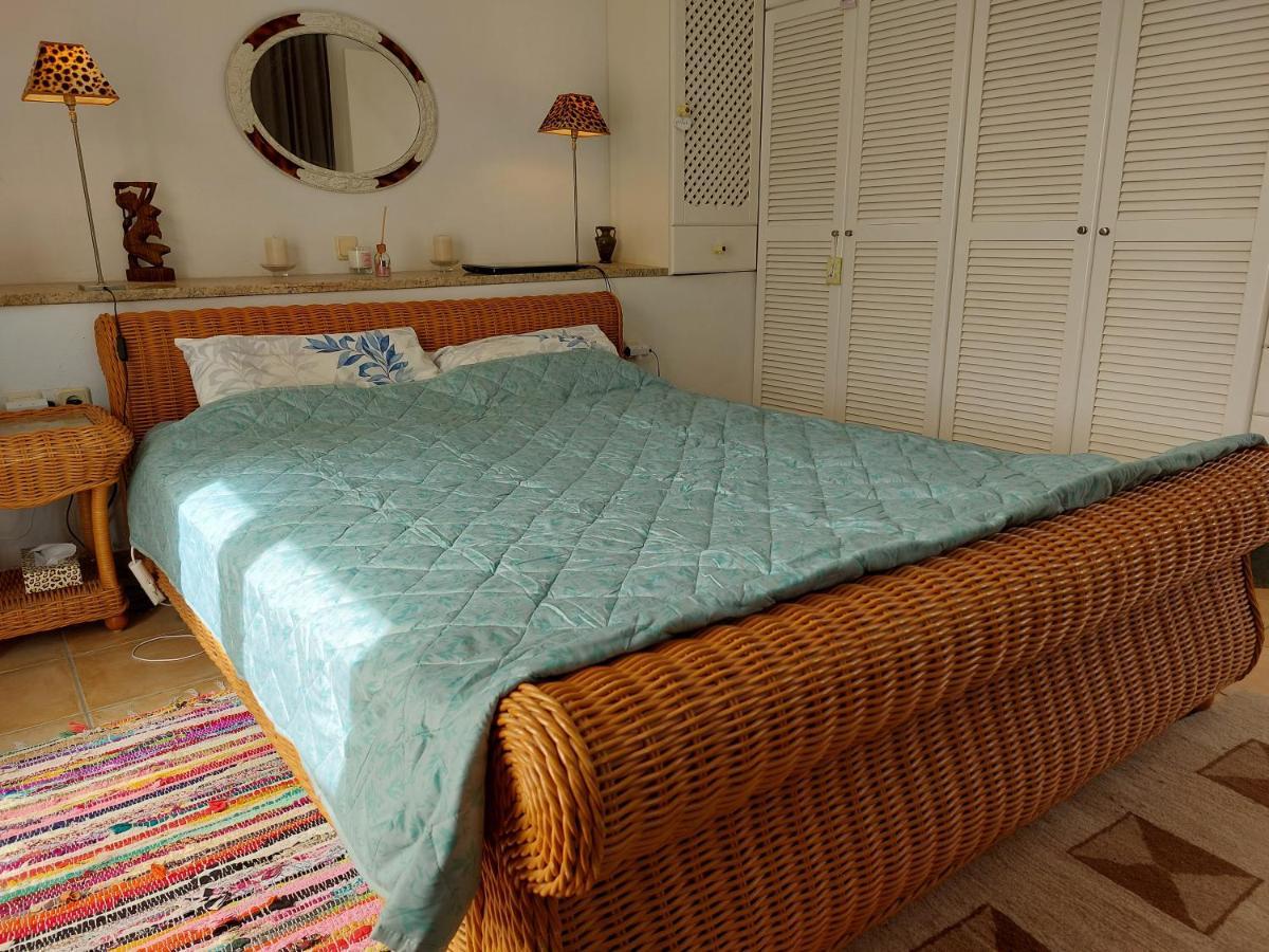 Tranquil Villa With Sea View In Ammopi Karpathos 阿莫皮 外观 照片
