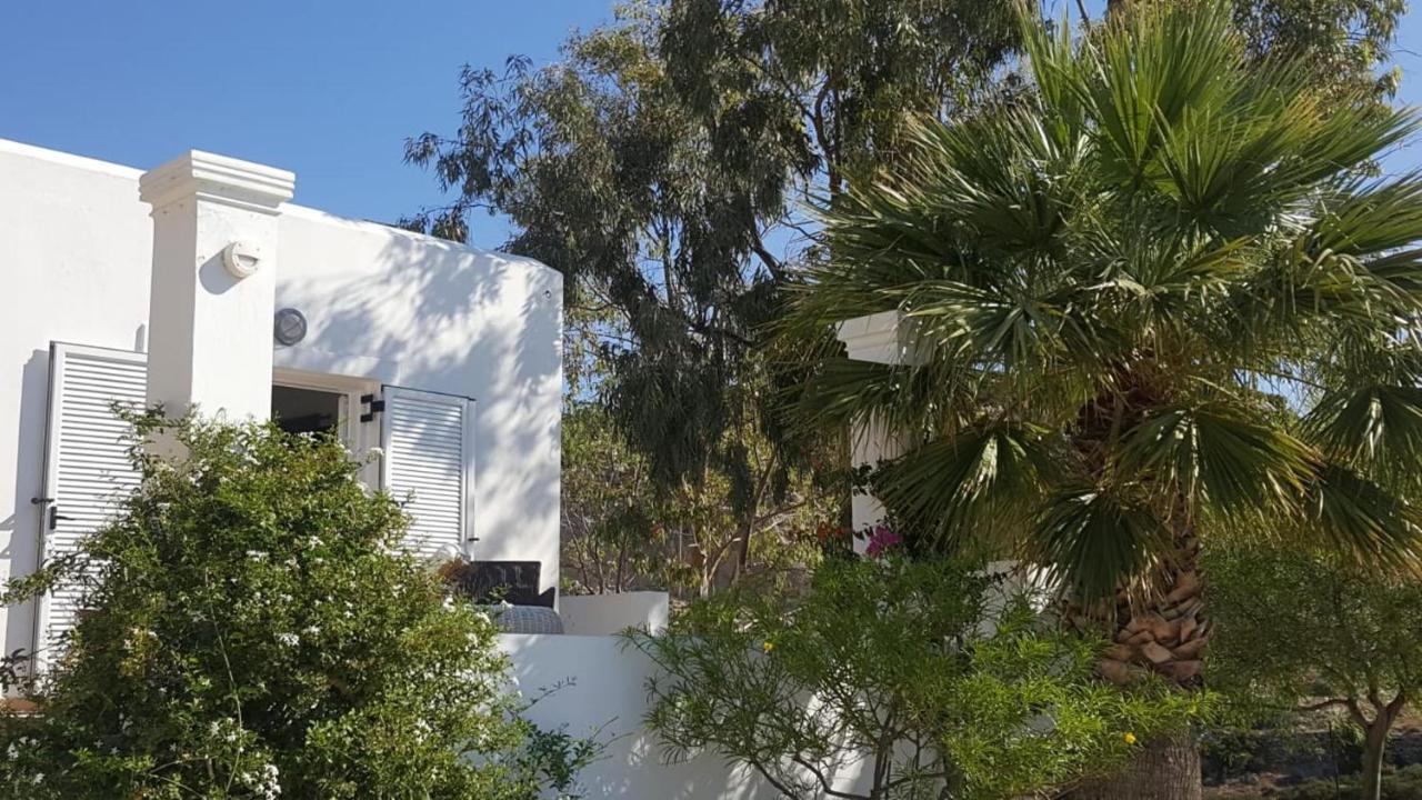 Tranquil Villa With Sea View In Ammopi Karpathos 阿莫皮 外观 照片