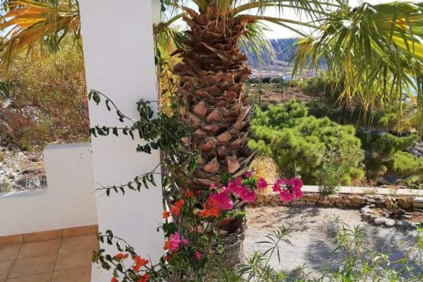 Tranquil Villa With Sea View In Ammopi Karpathos 阿莫皮 外观 照片