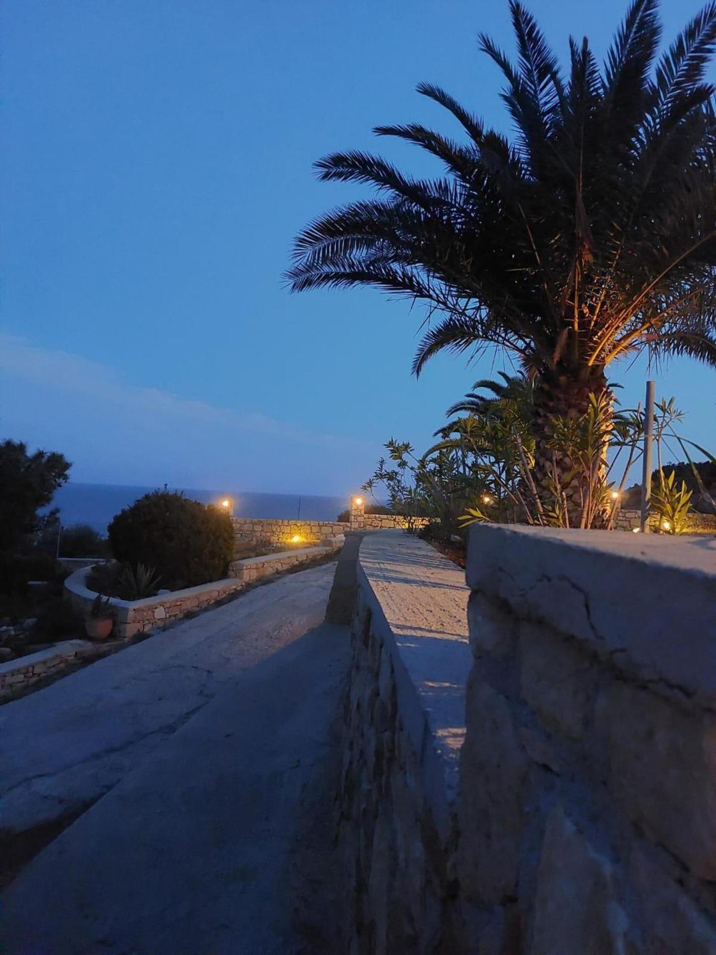 Tranquil Villa With Sea View In Ammopi Karpathos 阿莫皮 外观 照片